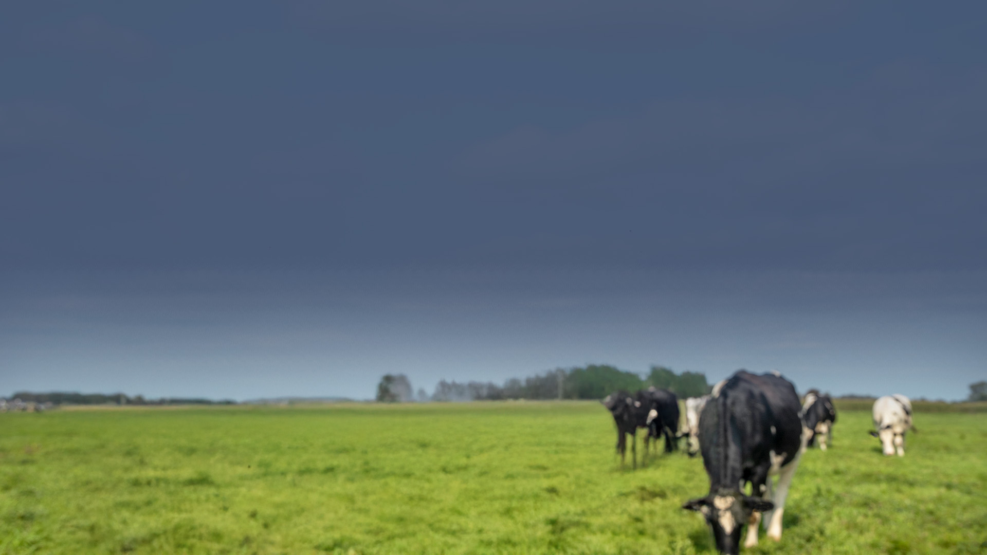 1920×1080-SliderRevolution-FONDO